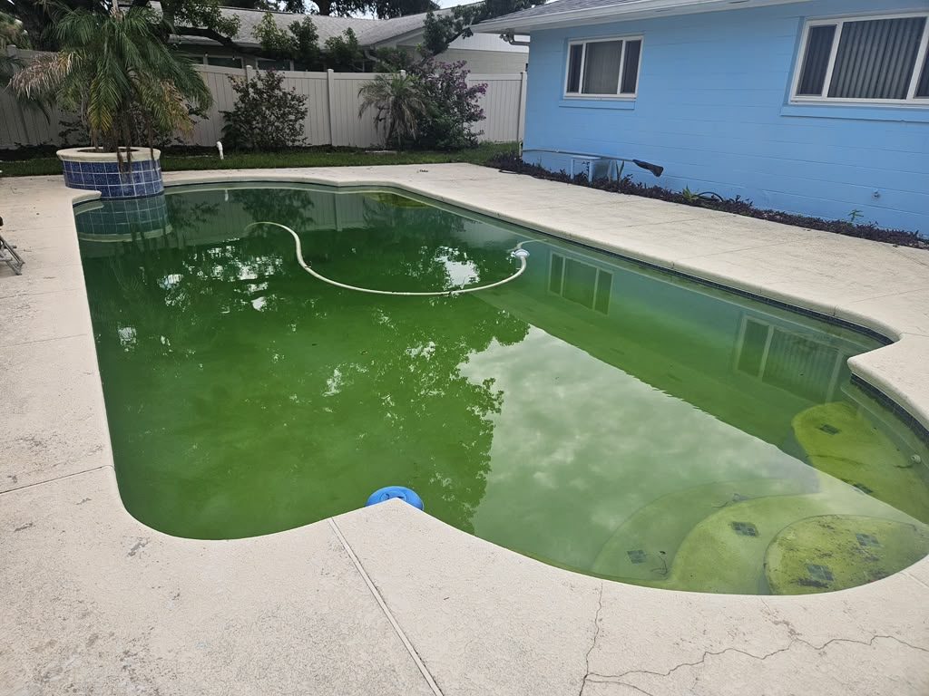 Green pool before Malibu Pool cleanup