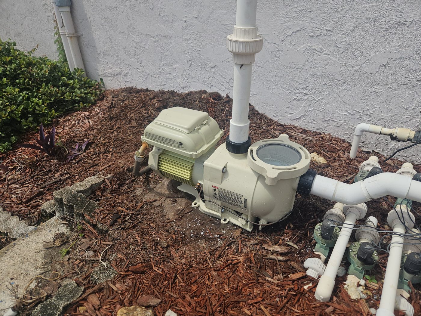 New pool pump after professional installation