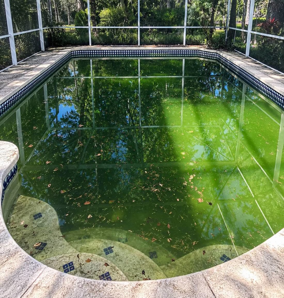 Same Pool, Same Week — Before